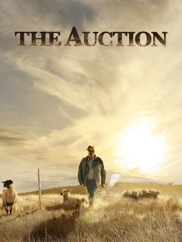 The Auction