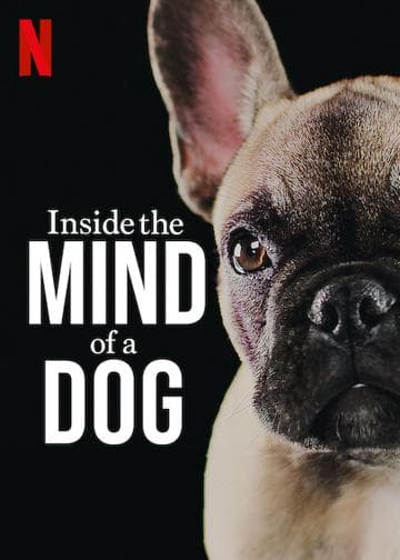 Inside the Mind of a Dog
