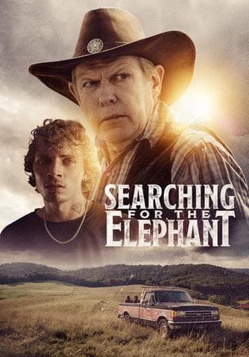 Searching for the Elephant