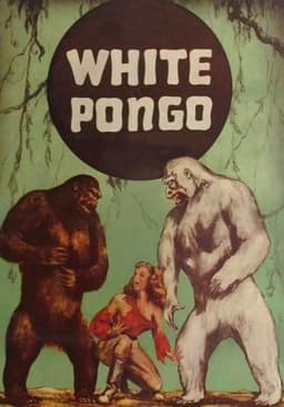 White Pongo