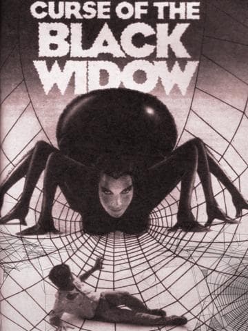 Curse of the Black Widow