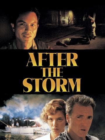 After the Storm