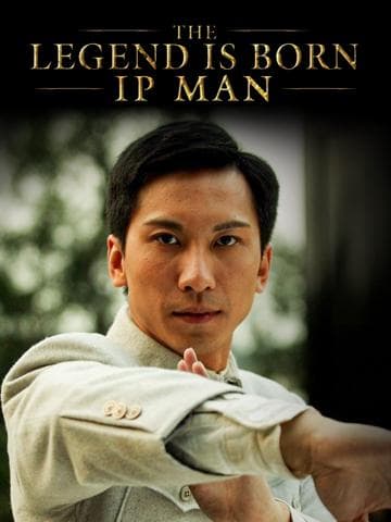 The Legend Is Born: Ip Man