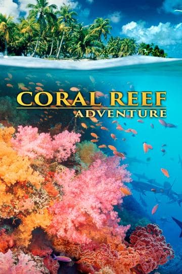 Coral Reef Adventure