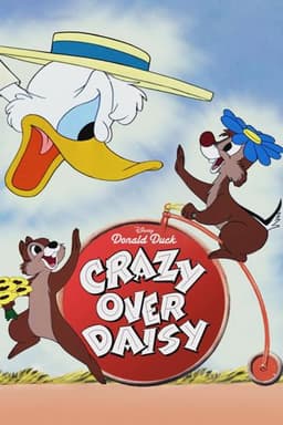Crazy Over Daisy