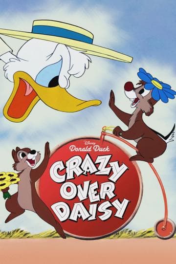 Crazy Over Daisy