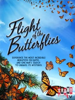 Flight of the Butterflies