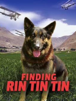 Finding Rin Tin Tin