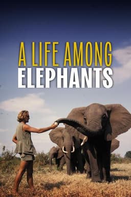 A Life Among Elephants