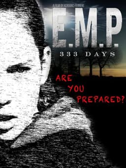 E.M.P. 333 Days