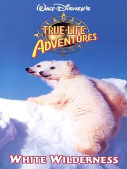 White Wilderness