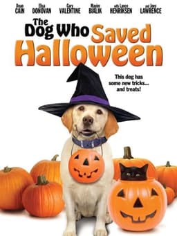 The Dog Who Saved Halloween
