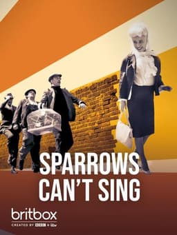 Sparrows Can't Sing