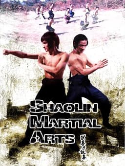 Shaolin Martial Arts