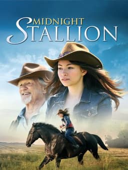 Midnight Stallion