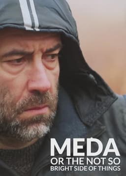 Meda or The Not So Bright Side of Things