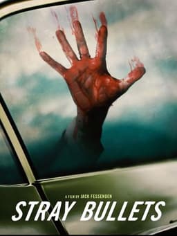 Stray Bullets