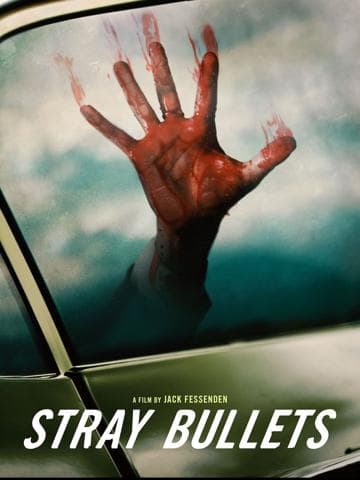 Stray Bullets