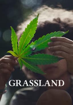 Grassland