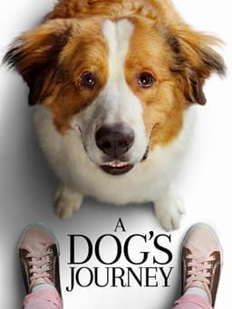 A Dog's Journey