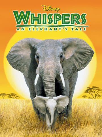 Whispers: An Elephant's Tale