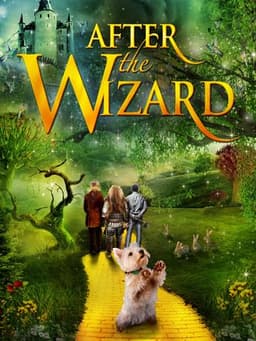 After the Wizard
