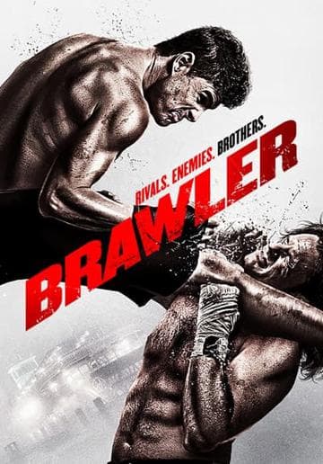 Brawler