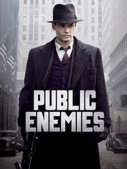 Public Enemies