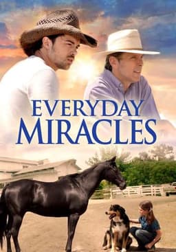 Everyday Miracles