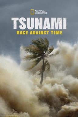 Tsunami: Race Against Time