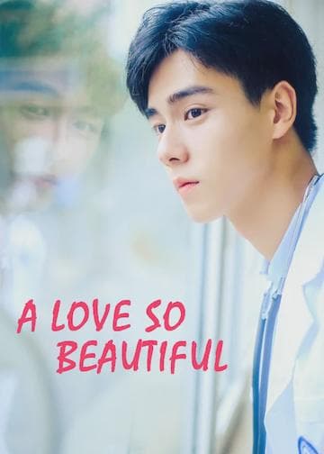A Love So Beautiful