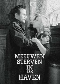 Seagulls Die in the Harbour