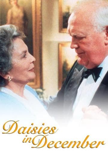Daisies in December