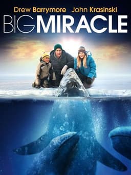 Big Miracle
