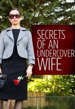 Secrets of an Undercover Wife