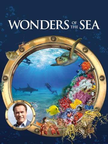 Wonders of the Sea