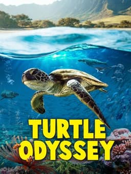 Turtle Odyssey