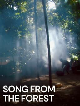 Song from the Forest