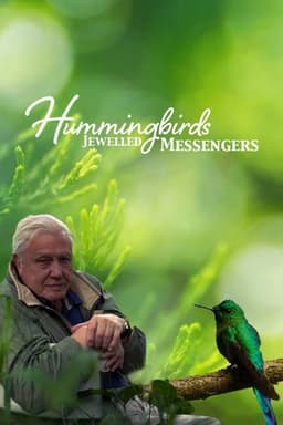Hummingbirds: Jewelled Messengers