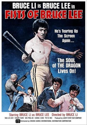 Fists of Bruce Lee