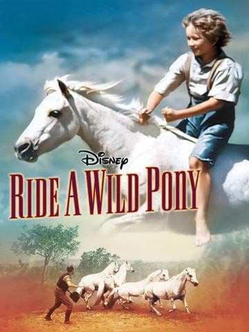 Ride a Wild Pony