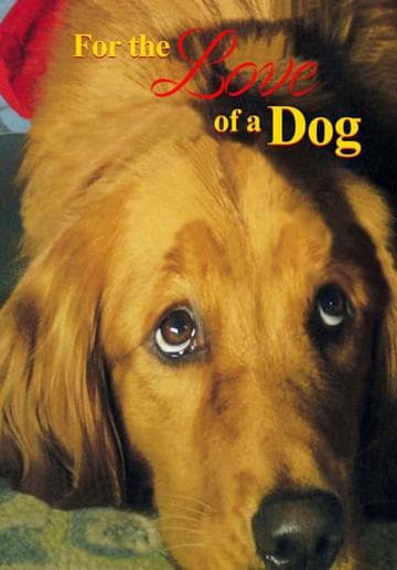 For the Love of a Dog