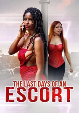 The Last Days of an Escort