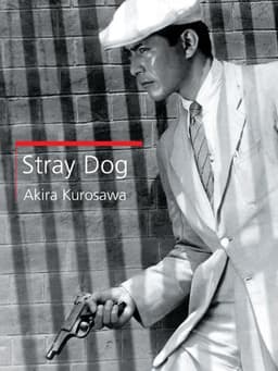 Stray Dog