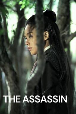 The Assassin