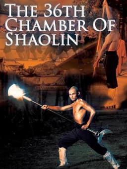 The 36th Chamber of Shaolin