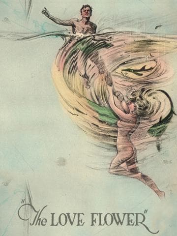 The Love Flower