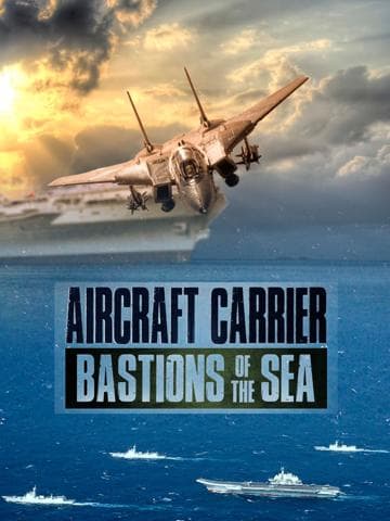 Aircraft Carrier: Guardian of the Seas