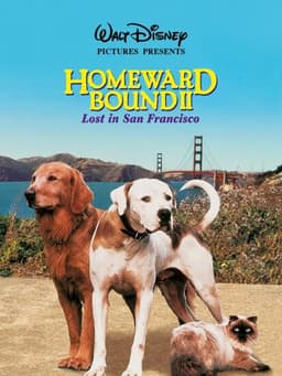 Homeward Bound II: Lost in San Francisco