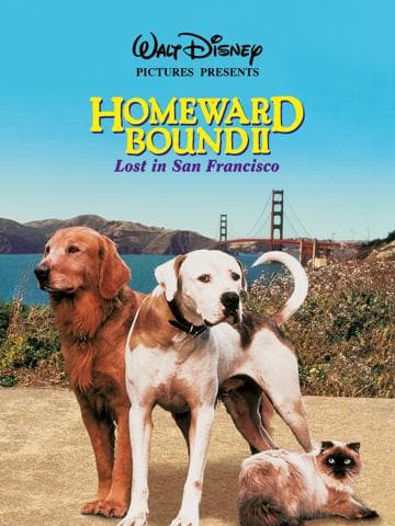 Homeward Bound II: Lost in San Francisco